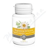 Imbio Kopretina řimbaba+vit. B6 a hořčík tbl. 40